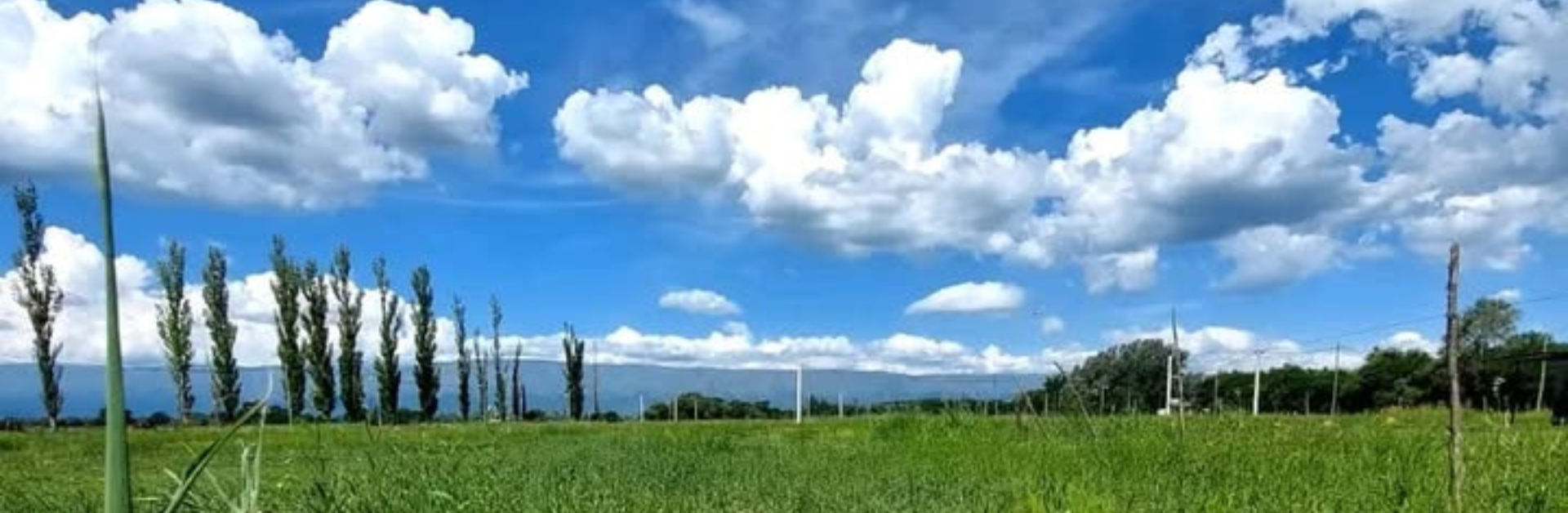 Inmobiliaria en Merlo San Luis