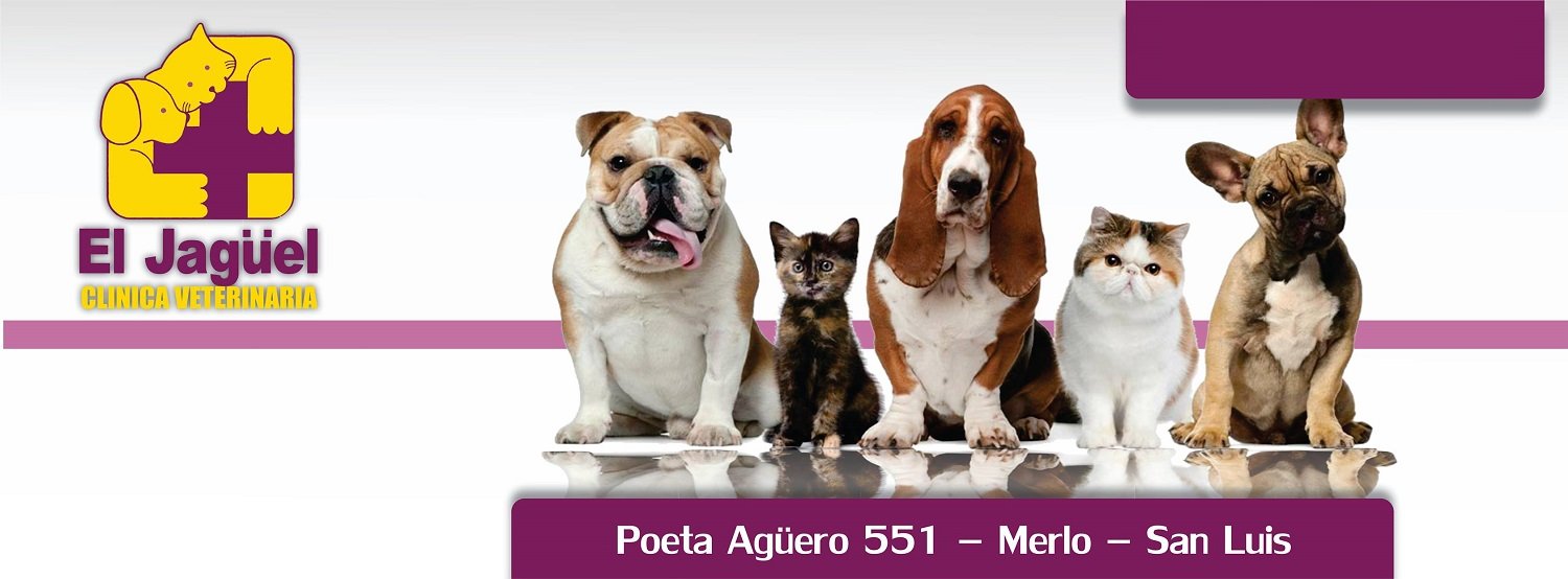 Veterinaria en Merlo San Luis