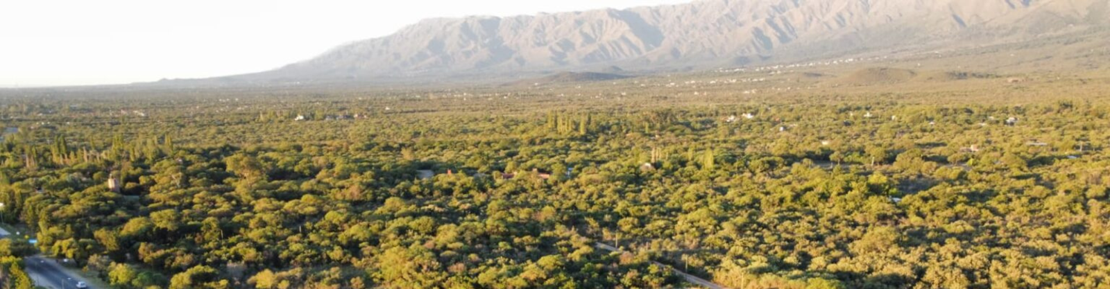 Inmobiliaria en Cortaderas San Luis