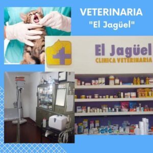 Veterinaria en Merlo San Luis