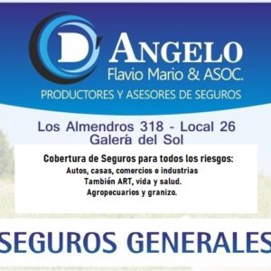 Estudio Asegurador en Merlo San Luis