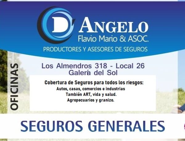 Estudio Asegurador en Merlo San Luis