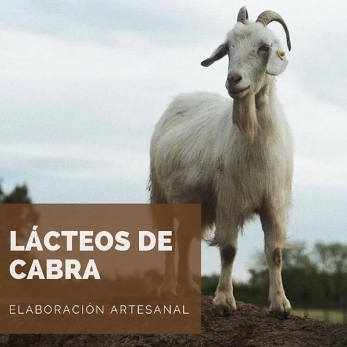 Lácteos de Cabra En Concarán