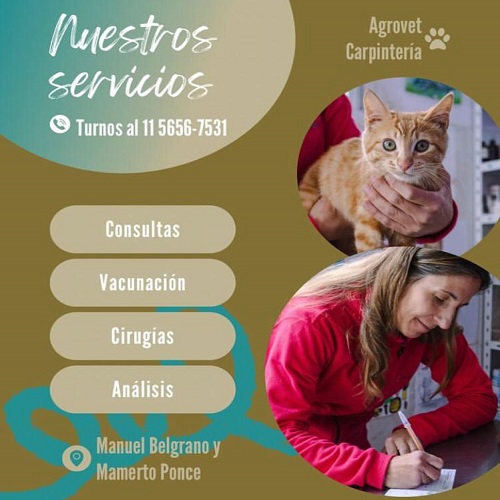 Veterinaria en Carpintería San Luis