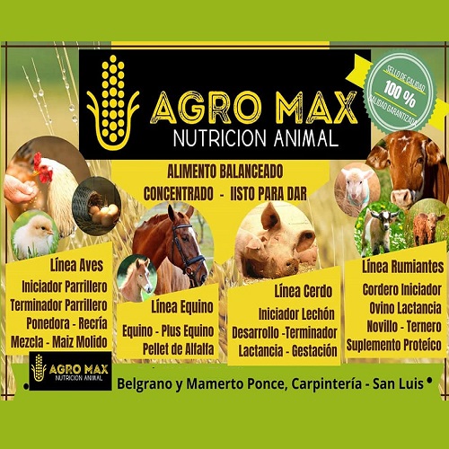 Veterinaria en Carpintería San Luis