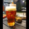 Resto Bar Y Cervecería Artesanal en Merlo San Luis - Imagen 7