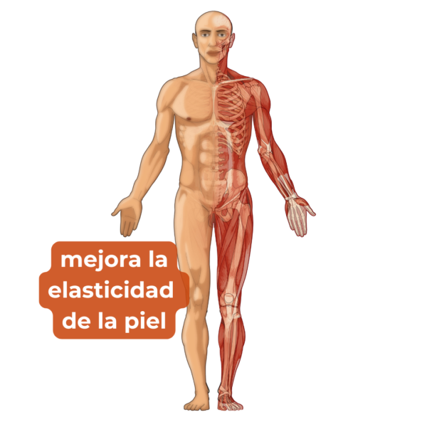 Caldo de Hueso-Colágeno - Imagen 4