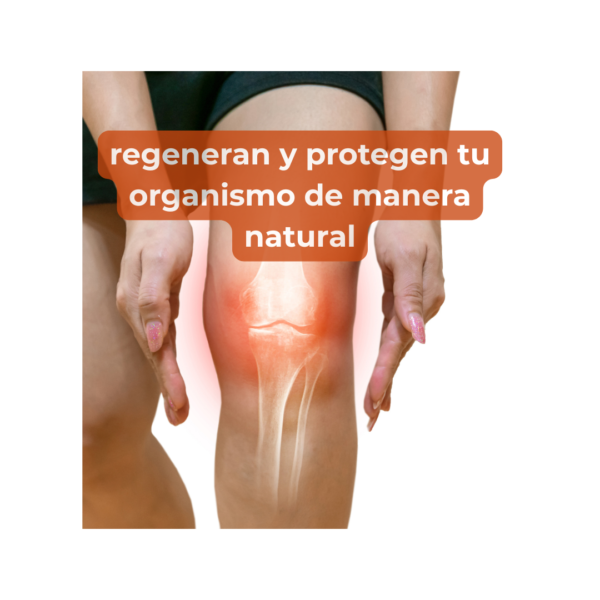 Caldo de Hueso-Colágeno - Imagen 5