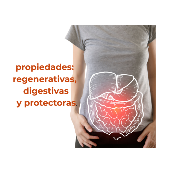Caldo de Hueso-Colágeno - Imagen 3