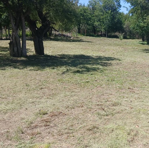 Oportunidad de Inversión: venta de terreno en Merlo San Luis - Imagen 3