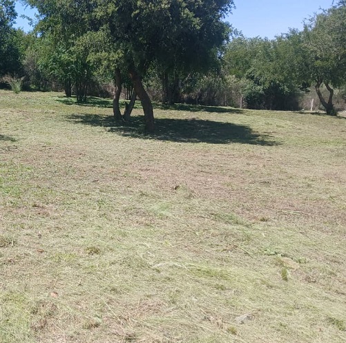 Oportunidad de Inversión: venta de terreno en Merlo San Luis - Imagen 2