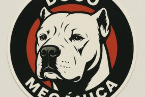 Taller Mecánico en Merlo San Luis - Dogo Mecánica