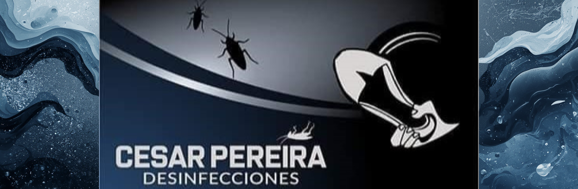 Concarán Control de Plagas