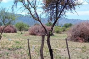 Venta de terrenos en Villa Larca San Luis