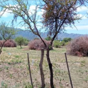 Venta de terrenos en Villa Larca San Luis