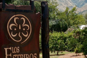 Cabañas en Merlo San Luis - Los Estribos